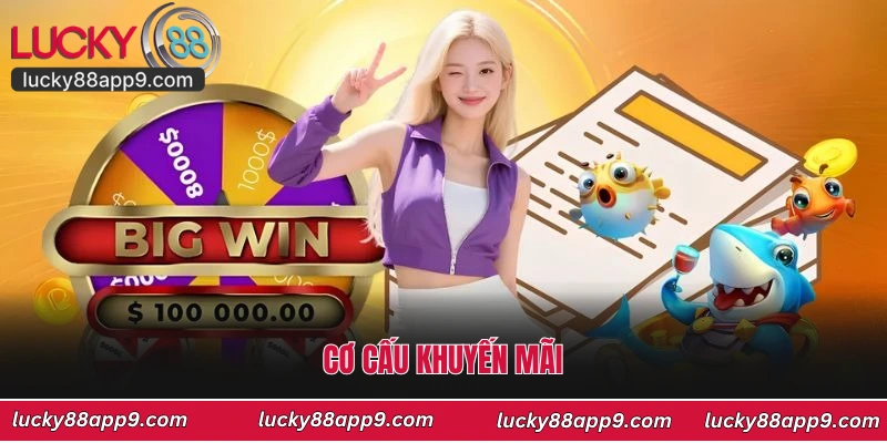 Cơ cấu khuyến mãi